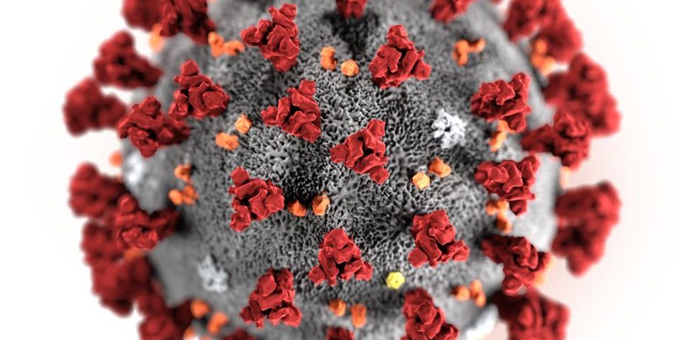 коронавирус