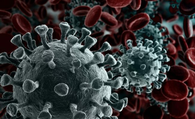 coronavirus Новости коронавируса