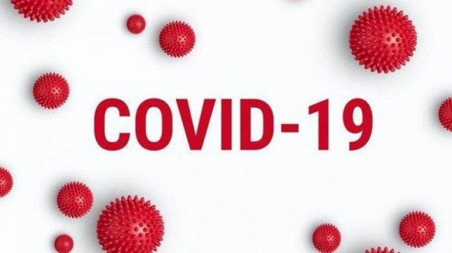 ilustrasi-virus-corona-masuk-indonesia-236236 коронавирус у ребенка